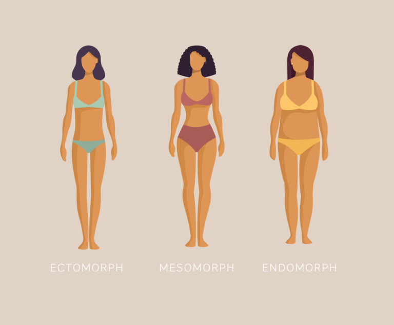 Endomorph Body Type - Illustration of Endomorph