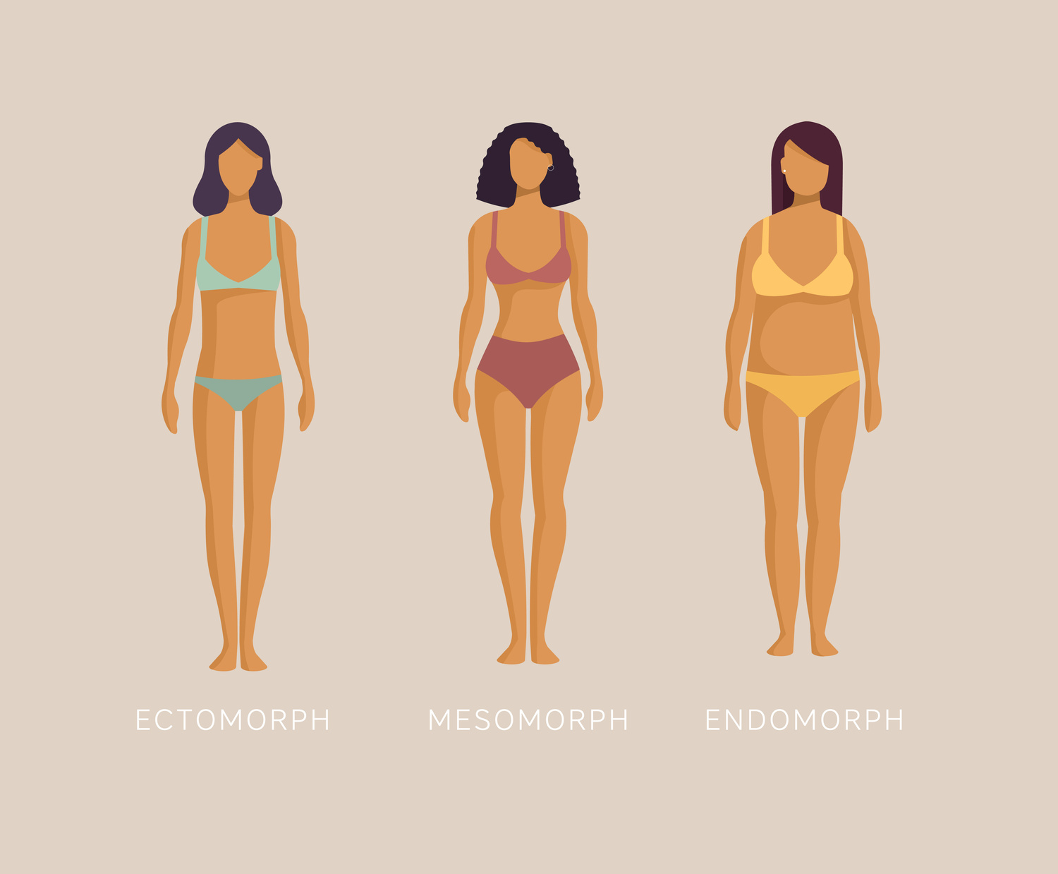 Endomorph Body Type - Illustration of Endomorph